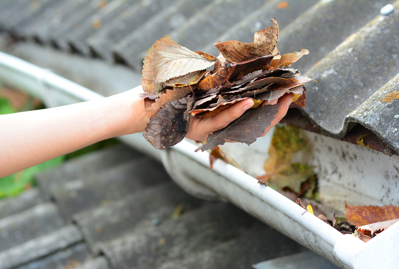 How to Remove Debris From Your Roof